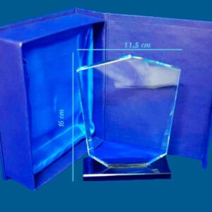 Reconocimiento o galardón de cristal escudo ancho