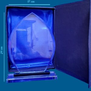 Reconocimiento o galardón de cristal llama
