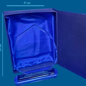 Reconocimiento o Galardón de Cristal 9 lados