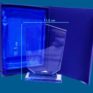 Reconocimiento o galardón de cristal escudo doble base